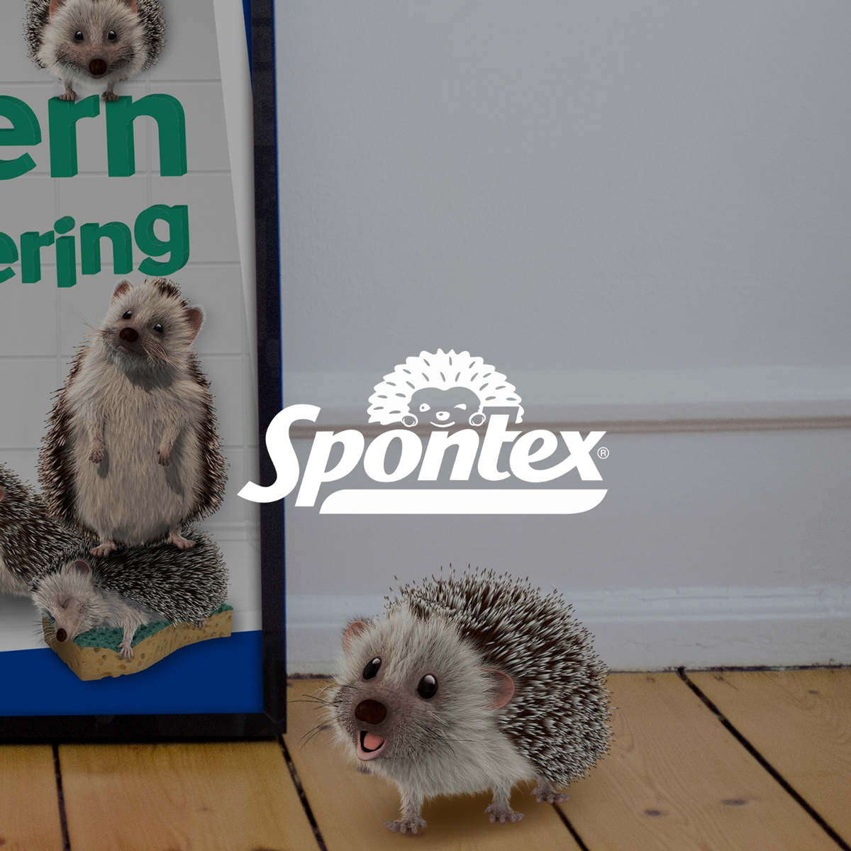 SPONTEX